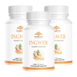 pharma health | capsule di zenzero 3x120 g