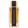 salvatore ferragamo spicy leather parfum pour homme 100 ml