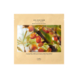 dr.althea vita glow mask 25 ml