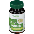 soria natural boswellia vitamins & minerals 09 complex 30 pz compresse