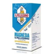 magnesia s. pellegrino 45% polvere effervescente gusto limone (100 g)