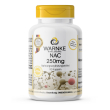 warnke vitalstoffe - nac 250 mg 90 pz capsule