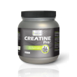 sanaexpert creatine pro – con creatina monoidrato, polvere di