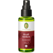 primavera spray bio per ambienti - ricarica le batterie! - 50 ml