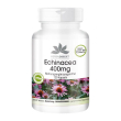 warnke vitalstoffe - echinacea 400 mg 120 pz capsule