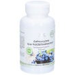 warnke vitalstoffe - antociani da estratto di mirtillo 90 pz capsule