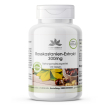 warnke vitalstoffe - estratto di ippocastano 300 mg 120 pz capsule