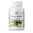 warnke vitalstoffe - ginkgo e altro 120 pz capsule
