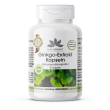 warnke vitalstoffe - estratto di ginkgo biloba 95 mg 90 pz capsule