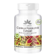 warnke vitalstoffe - estratto di coleus forskohlii 50 mg 60 pz capsule