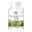 warnke vitalstoffe - estratto di palma nana 300 mg 250 pz capsule