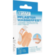 haro set di cerotti 20 pz cerotto