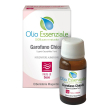 garofano chiodi olio ess.erb.magentina