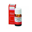 zenzero olio ess.10ml