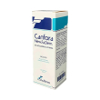 canfora 10% soluzione cutanea - antisettico analgesico 100 ml