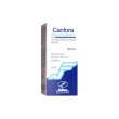 canfora 10% soluzione oleosa - antisettico analgesico 100 ml