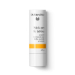 <dr hauschka stick labbra new        sti