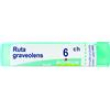 bo.ruta graveolens*6ch 80gr 4g