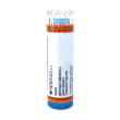 bryonia 5 ch - rimedio omeopatico granuli multidose 4 gr