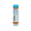 graphites 9ch 80gr 4g