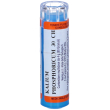 hering kalium phosphoricum 80 granuli 30 ch contenitore multidose g