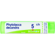 boiron phytolacca de 5ch gr 4g
