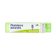 boiron® phytolacca decandra 5 ch 4 g granuli
