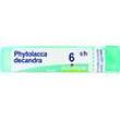 bo.phytolacca decandra*6ch 80g