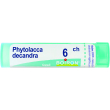 boiron phytolacca decandra 6 ch 80 granuli