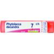 phytolacca dec.tubo *7ch