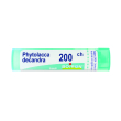 phytolacca decandra*200ch80gr