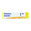 phytolacca decandra 1000k globuli monodose boiron