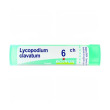 boiron lycopodium cl 6ch gr 4g