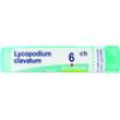 bo.lycopodium clavatum*6ch 80g