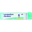 lycopodium clavatum 6 ch 80 gr