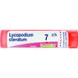 bo.lycopodium clavatum*7ch 80g