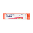 boiron® lycopodium clavatum granuli 7 ch contenitore multidose 4 g gra
