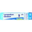 bo.lycopodium clavatum*9ch 80g