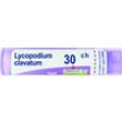 lycopodium clav.tubo  30ch