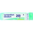 bo.lycopodium clavat*200k 80gr