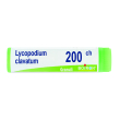 lycopodium clavatum 200ch globuli monodose boiron