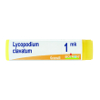 lycopodium clavatum 1000k gl