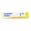 lycopodium clavatum mk globuli