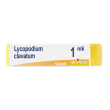 boiron® lycopodium clavatum granuli 1.000 k contenitore monodose 1 g g