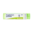 boiron® eupatorium perfoliatum granuli 5 ch contenitore multidose 4 g