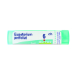 eupatorium perfoliatum 6ch granuli multidose boiron