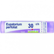 bo.eupatorium perfoliatum*30ch
