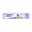 boiron eupatorium p 30ch gl 1g
