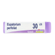 eupatorium perfoliatum*30chgl 1 g globuli