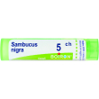 boiron sambucus nig 5ch gr 4g
